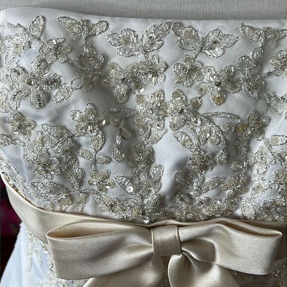 DAVID'S BRIDAL COLLECTION
lace wedding dress with beaded metallic lace - Picture 10 of 16